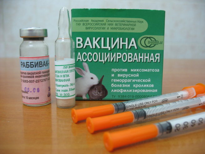 Вакцина для кроликов