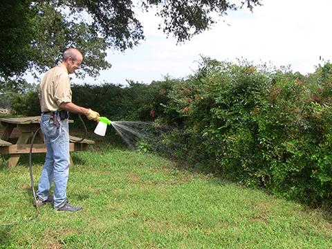 Applying pesticide with a garden hose-end sprayer