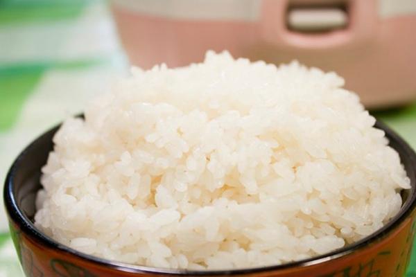 Рисовая каша - продукт диетического питания для собаки