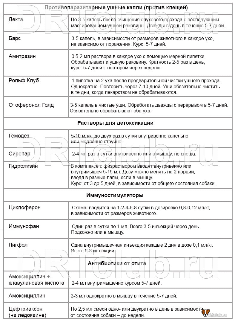 Терапия отитов у собак