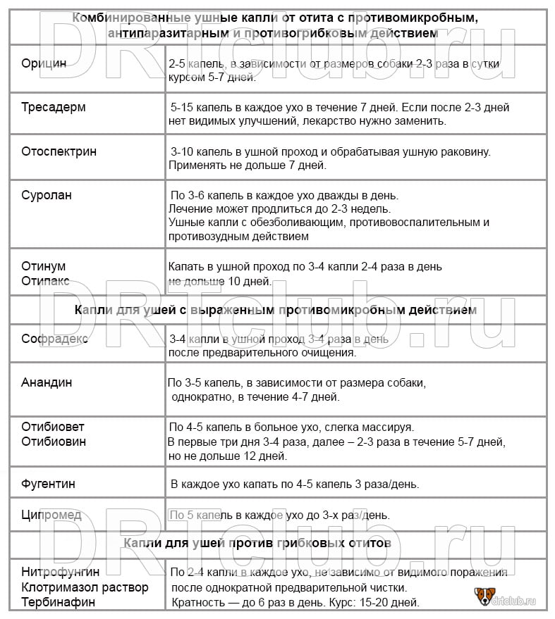 Лекарства для лечения отита у собак