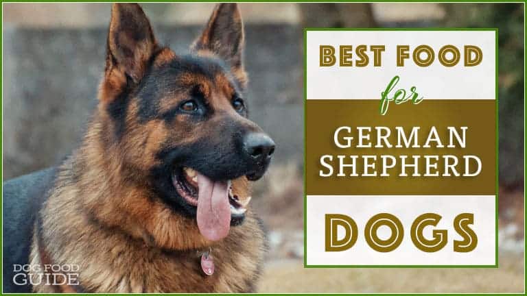 best dog food for German Shepherds