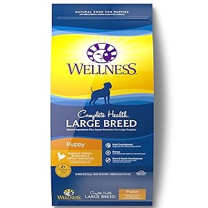 Wellness Complete Health Natural Dry Large Breed Puppy Food