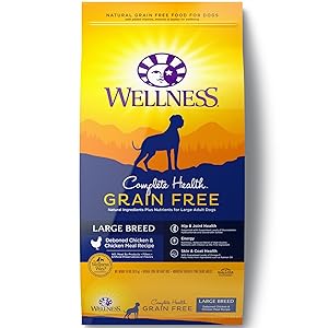 Wellness Complete Health Natural Grain Free Dry Dog Food 