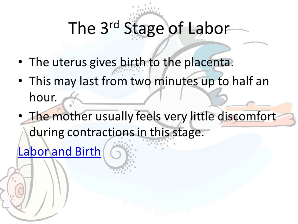 The 3 rd Stage of Labor The uterus gives birth to the placenta.