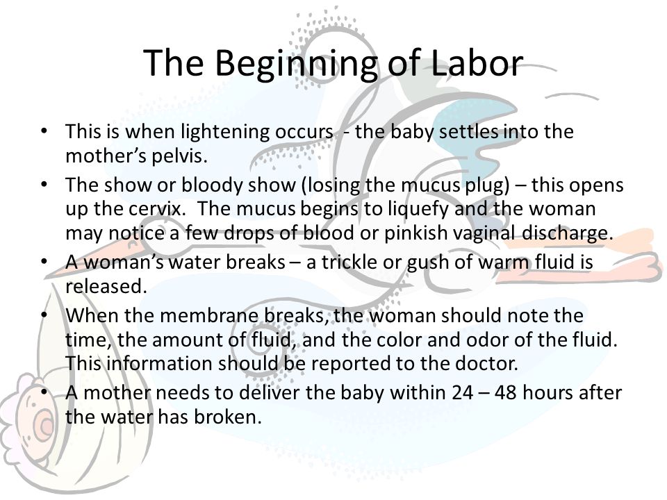 The Beginning of Labor This is when lightening occurs - the baby settles into the mother’s pelvis.