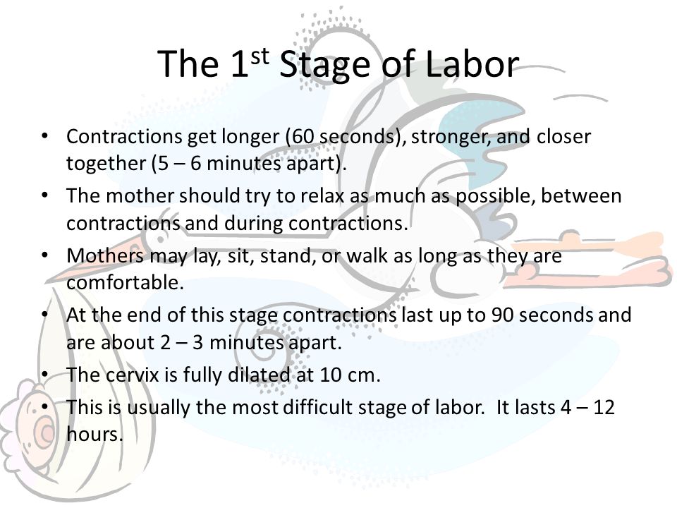 The 1 st Stage of Labor Contractions get longer (60 seconds), stronger, and closer together (5 – 6 minutes apart).