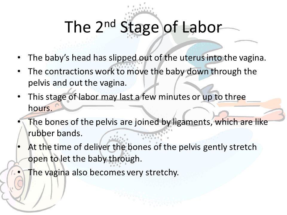 The 2 nd Stage of Labor The baby’s head has slipped out of the uterus into the vagina.