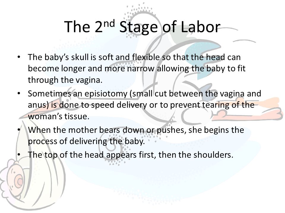 The 2 nd Stage of Labor The baby’s skull is soft and flexible so that the head can become longer and more narrow allowing the baby to fit through the vagina.