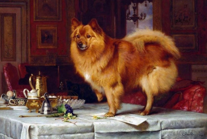 Marco on the Queen’s Breakfast Table, Charles Burton Barber, 1893