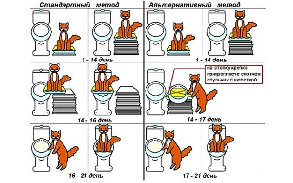 Стандартный способ приучения кота к унитазу