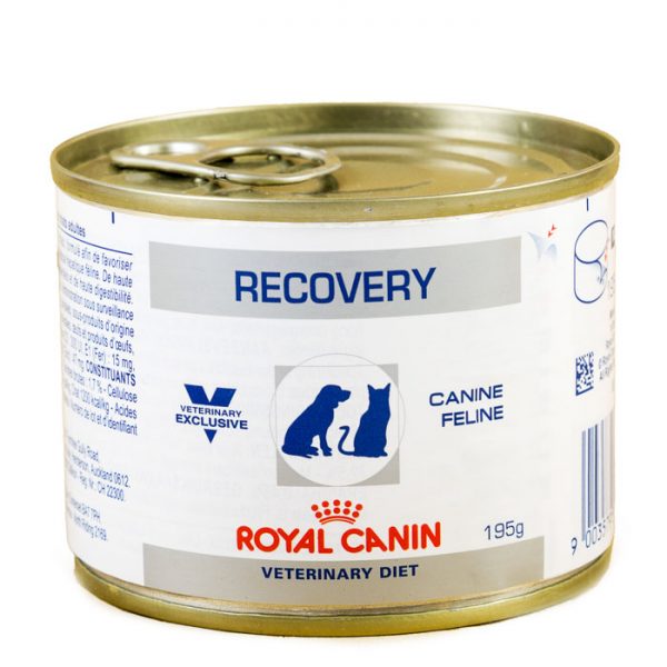 Royal Canin Recovery