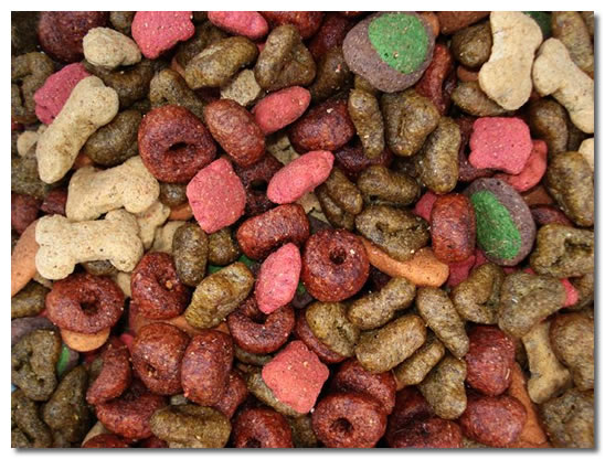 Chihuahua Dog Food