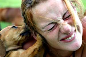 Puppy licking girl
