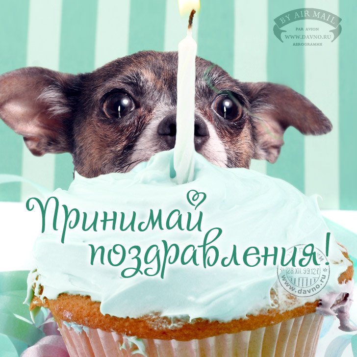 Принимай поздравления! Открытка на день рождения с собачкой и тортом.