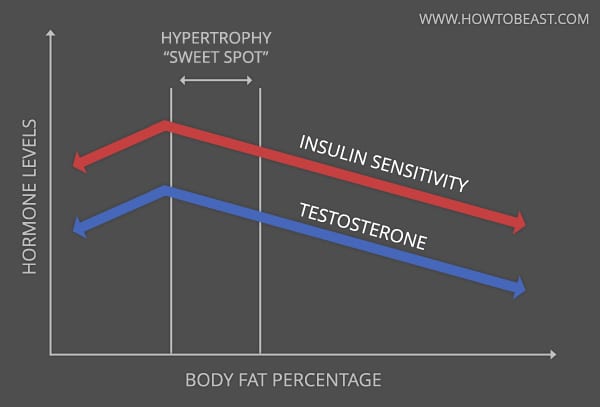 body-fat-hormone-levels-graph
