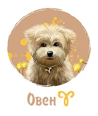 Собака-Овен