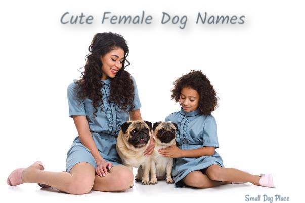 Dog Names Female; Two pugs and two girls