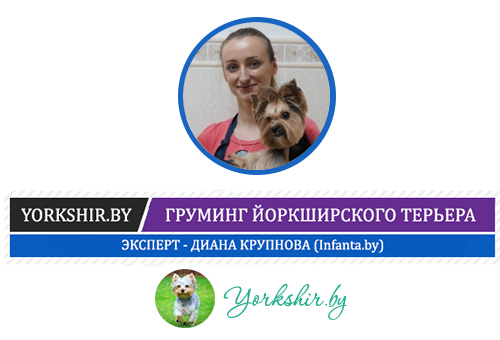разговор с_пост_груминг